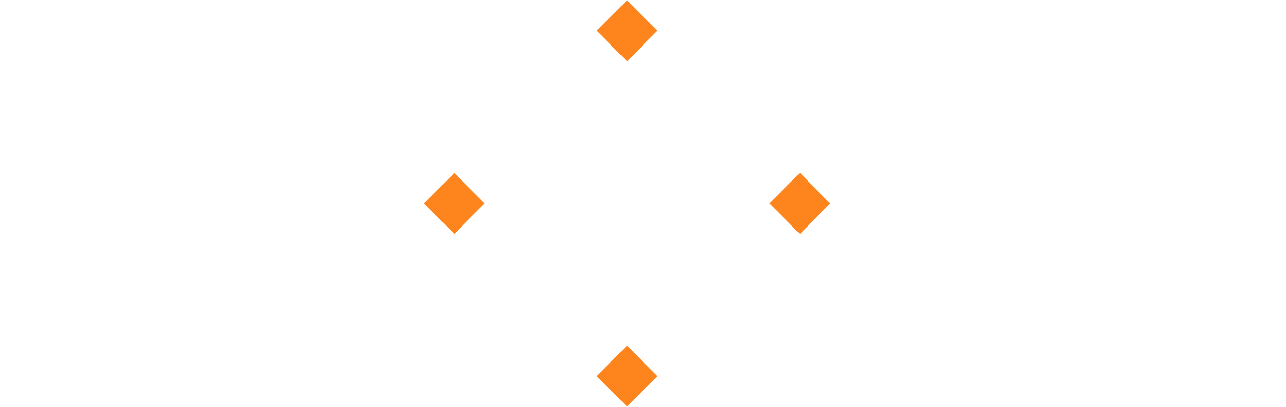 MS Logo